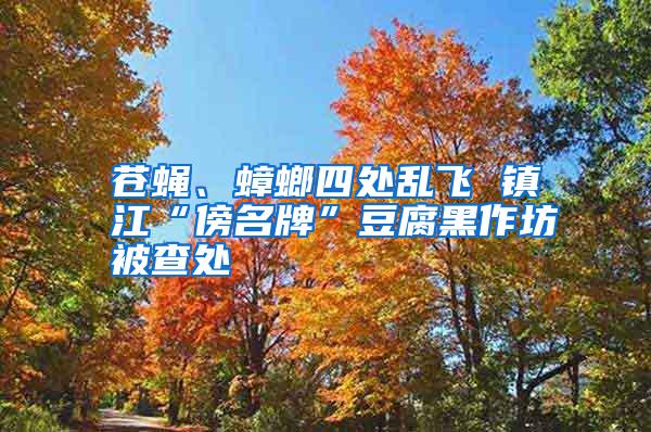 蒼蠅、蟑螂四處亂飛 鎮江“傍名牌”豆腐黑作坊被查處