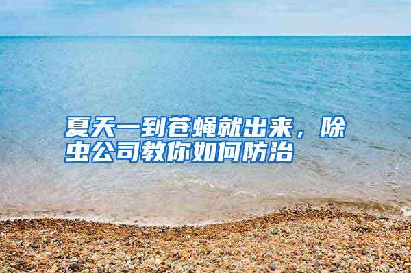夏天一到蒼蠅就出來，除蟲公司教你如何防治