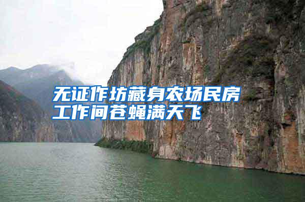 無證作坊藏身農場民房 工作間蒼蠅滿天飛