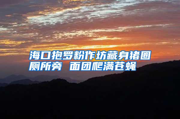 海口抱羅粉作坊藏身豬圈廁所旁 面團爬滿蒼蠅