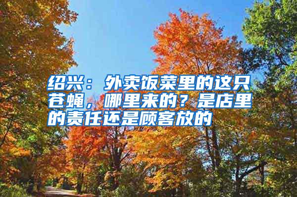 紹興：外賣飯菜里的這只蒼蠅，哪里來的？是店里的責(zé)任還是顧客放的