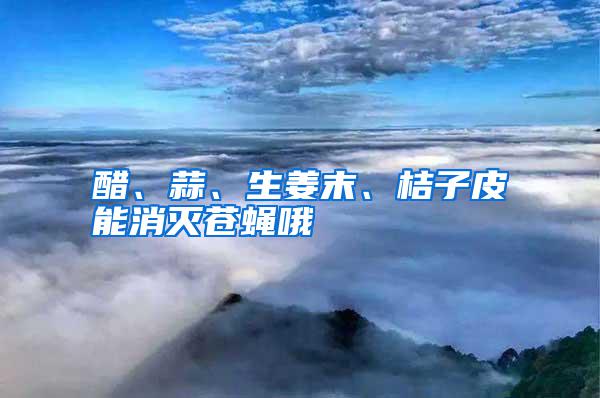 醋、蒜、生姜末、桔子皮能消滅蒼蠅哦