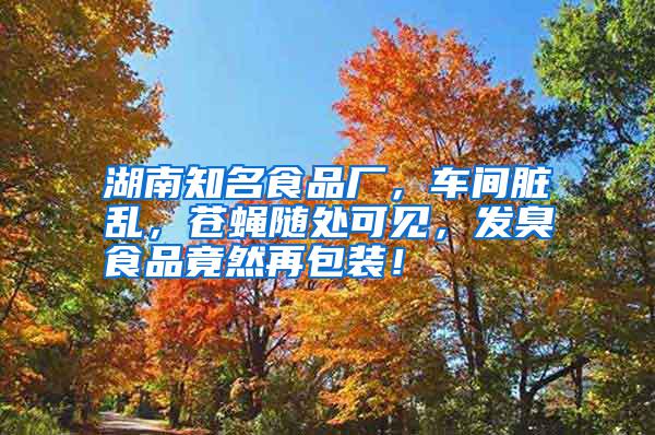 湖南知名食品廠，車間臟亂，蒼蠅隨處可見，發(fā)臭食品竟然再包裝！