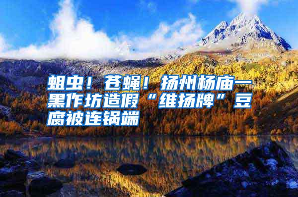 蛆蟲！蒼蠅！揚州楊廟一黑作坊造假“維揚牌”豆腐被連鍋端