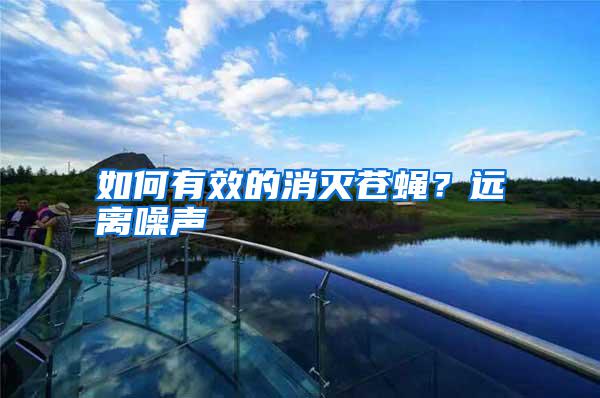 如何有效的消滅蒼蠅？遠(yuǎn)離噪聲