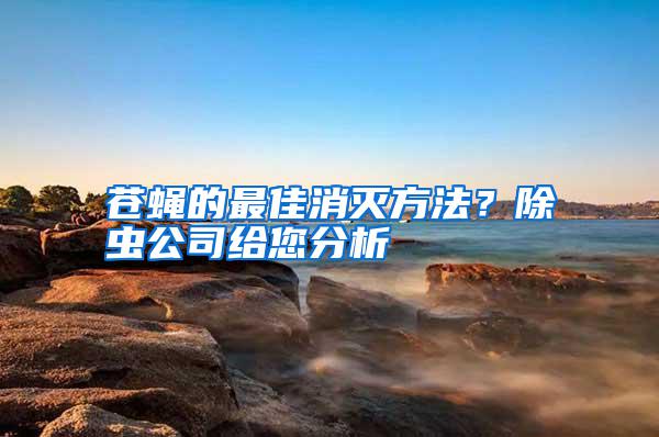 蒼蠅的最佳消滅方法？除蟲公司給您分析