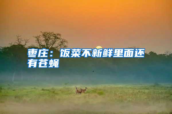 棗莊：飯菜不新鮮里面還有蒼蠅