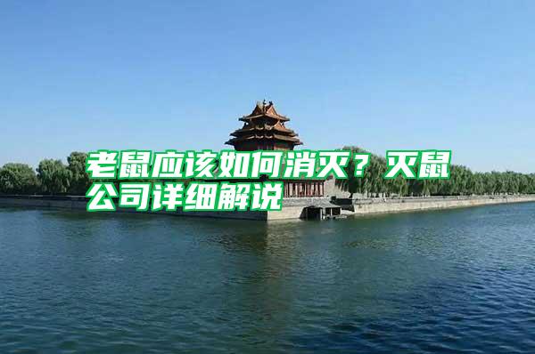 老鼠應(yīng)該如何消滅？滅鼠公司詳細(xì)解說(shuō)