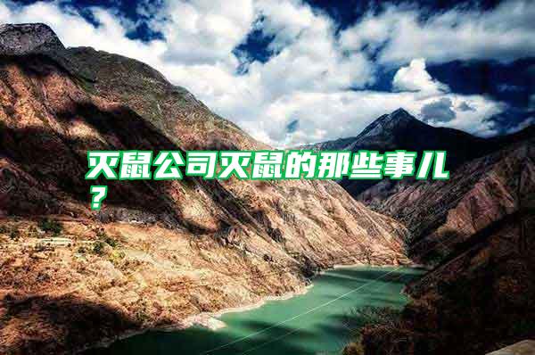 滅鼠公司滅鼠的那些事兒？