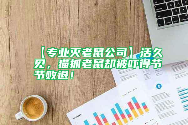 【專業滅老鼠公司】活久見，貓抓老鼠卻被嚇得節節敗退！