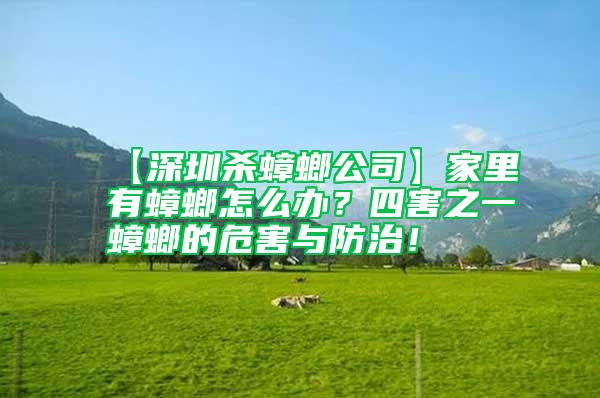 【深圳殺蟑螂公司】家里有蟑螂怎么辦？四害之一蟑螂的危害與防治！