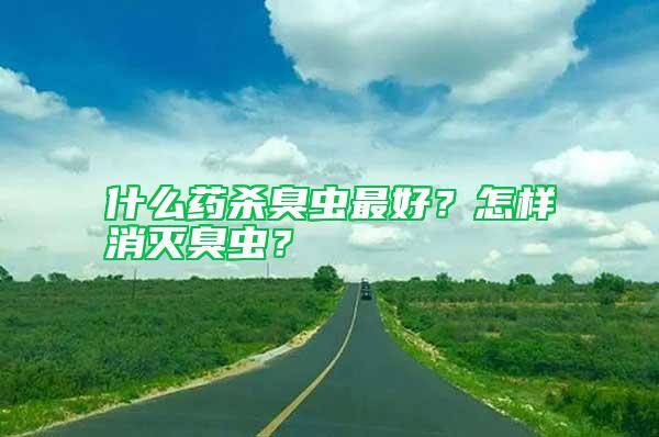 什么藥殺臭蟲最好？怎樣消滅臭蟲？