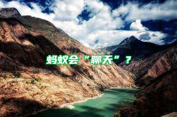 螞蟻會(huì)“聊天”？