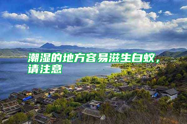 潮濕的地方容易滋生白蟻，請(qǐng)注意