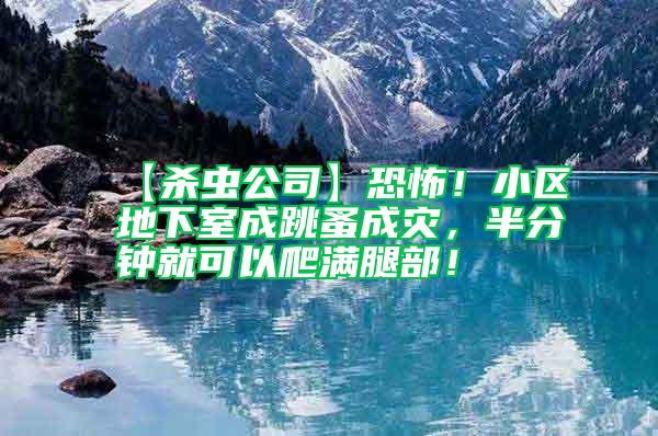 【殺蟲公司】恐怖！小區地下室成跳蚤成災，半分鐘就可以爬滿腿部！