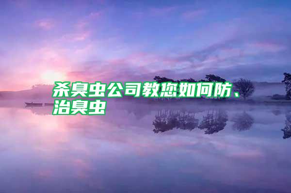 殺臭蟲公司教您如何防、治臭蟲