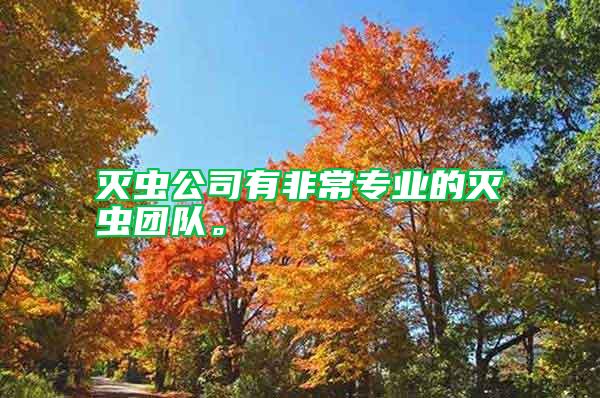 滅蟲公司有非常專業(yè)的滅蟲團(tuán)隊(duì)。