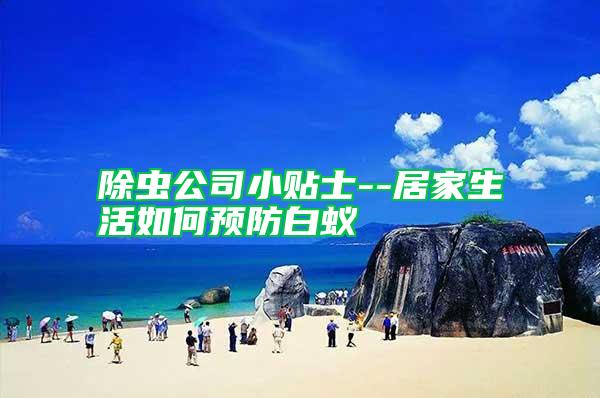 除蟲公司小貼士--居家生活如何預(yù)防白蟻