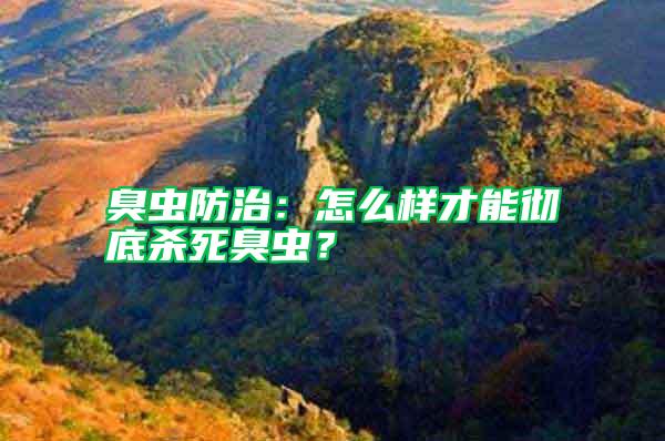 臭蟲防治：怎么樣才能徹底殺死臭蟲？