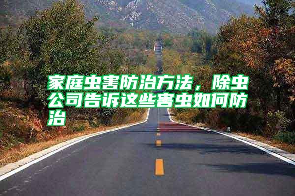 家庭蟲害防治方法，除蟲公司告訴這些害蟲如何防治