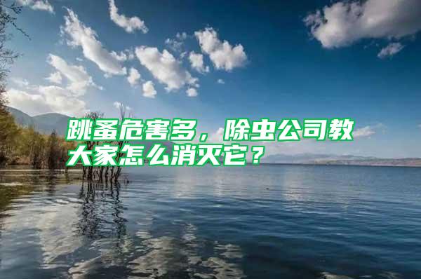跳蚤危害多，除蟲(chóng)公司教大家怎么消滅它？