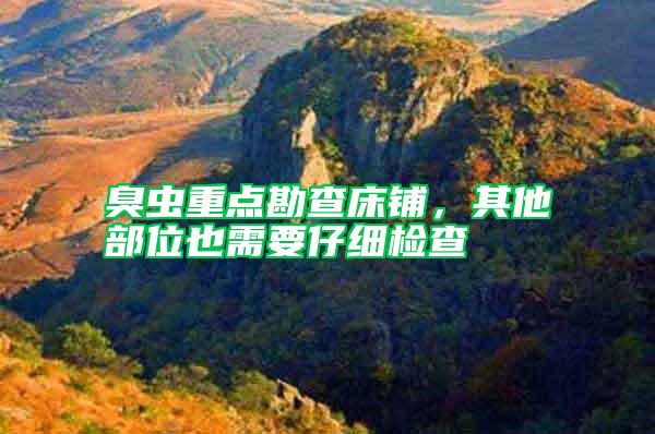 臭蟲重點勘查床鋪，其他部位也需要仔細檢查