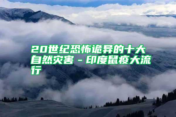 20世紀恐怖詭異的十大自然災害－印度鼠疫大流行