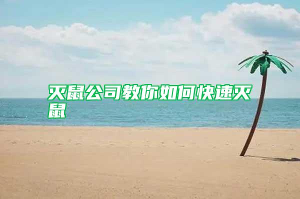 滅鼠公司教你如何快速滅鼠