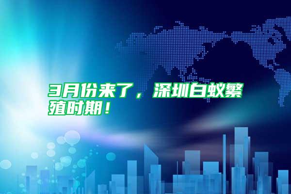 3月份來了，深圳白蟻繁殖時(shí)期！