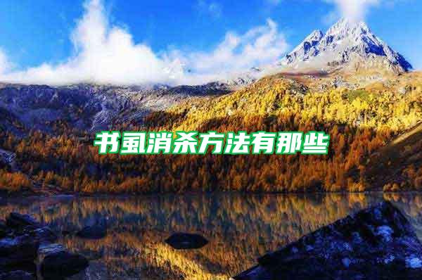 書虱消殺方法有那些