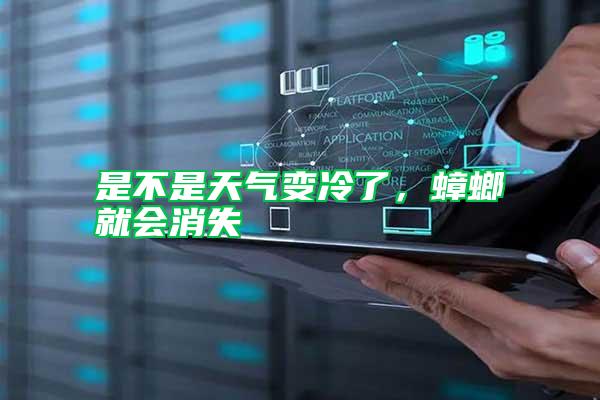 是不是天氣變冷了，蟑螂就會消失