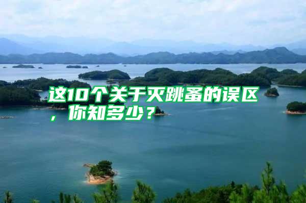 這10個關于滅跳蚤的誤區，你知多少？