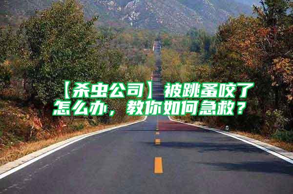 【殺蟲公司】被跳蚤咬了怎么辦，教你如何急救？