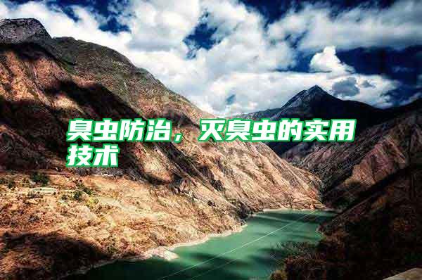 臭蟲防治，滅臭蟲的實(shí)用技術(shù)