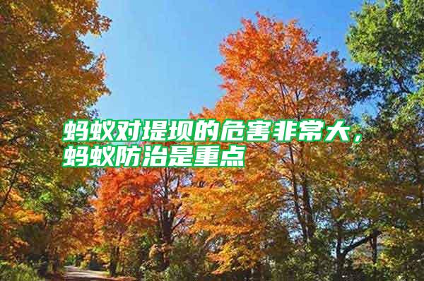 螞蟻對堤壩的危害非常大，螞蟻防治是重點