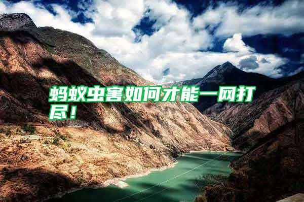螞蟻蟲害如何才能一網打盡！