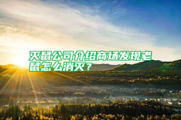 滅鼠公司介紹商場發(fā)現(xiàn)老鼠怎么消滅？