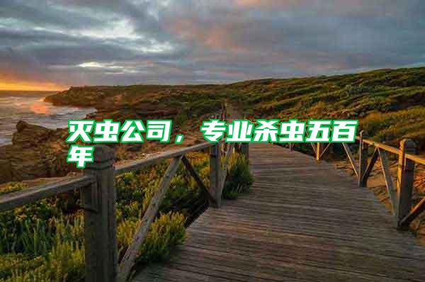 滅蟲公司，專業(yè)殺蟲五百年