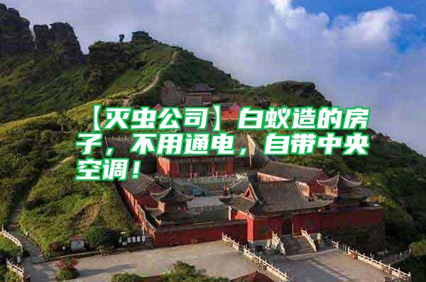 【滅蟲公司】白蟻造的房子，不用通電，自帶中央空調(diào)！