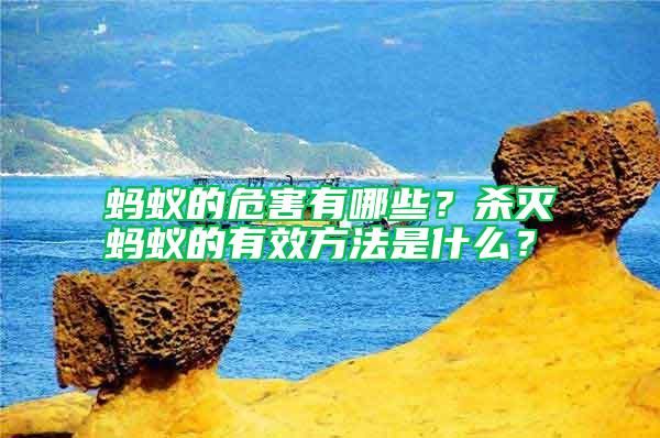 螞蟻的危害有哪些？殺滅螞蟻的有效方法是什么？