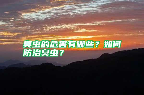 臭蟲的危害有哪些？如何防治臭蟲？