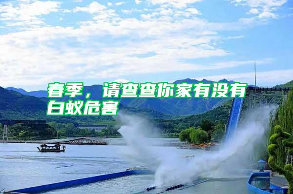 春季,請(qǐng)查查你家有沒有白蟻危害