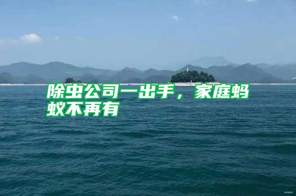 除蟲公司一出手，家庭螞蟻不再有