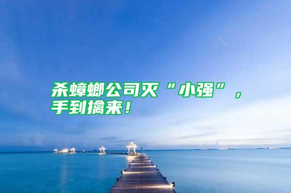 殺蟑螂公司滅“小強(qiáng)”，手到擒來(lái)！