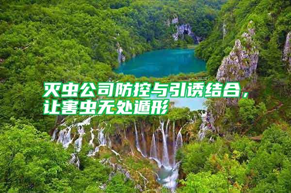 滅蟲公司防控與引誘結(jié)合，讓害蟲無處遁形