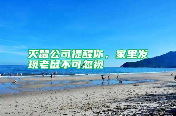 滅鼠公司提醒你，家里發現老鼠不可忽視