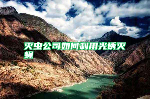 滅蟲(chóng)公司如何利用光誘滅蠅