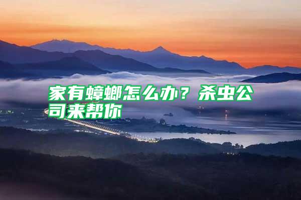 家有蟑螂怎么辦？殺蟲(chóng)公司來(lái)幫你