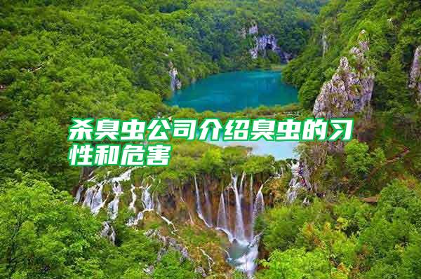 殺臭蟲公司介紹臭蟲的習性和危害