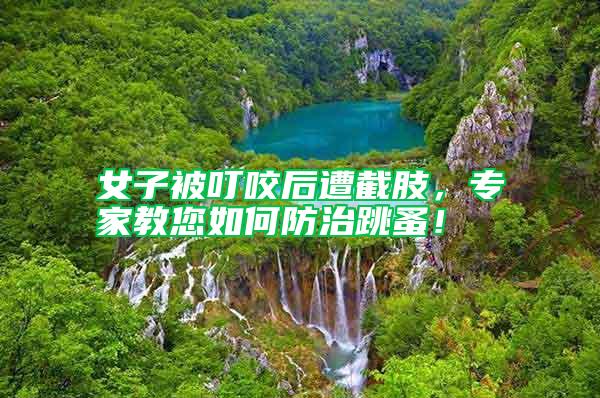 女子被叮咬后遭截肢，專家教您如何防治跳蚤！